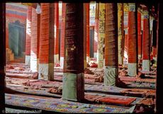 Tibet (177 von 257).jpg